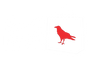 Red Raven Store